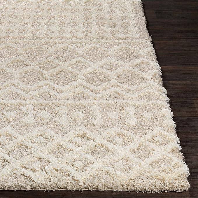 Livabliss Hapsburg Moroccan Shag Runner Area Rug,2'7" x 18',Beige