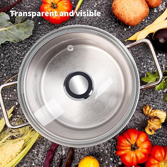 9" Tempered Glass Pan Lid with Steam Vent, Thickened to 4mm and Dishwasher Safe and Oven up to 480℉, Universal Lid Fit for Cast Iron Skillets, Frying Saute Pan, Cooking Pot