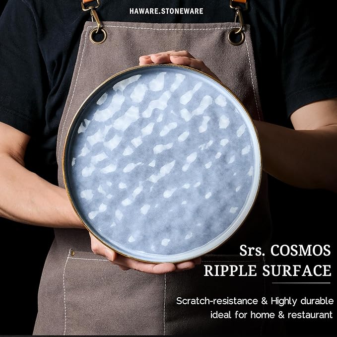 HaWare Dinnerware Sets, 18-Piece Plates and Bowls Set, Stoneware Dish Set for 6, Ceramic Dinnerware for Home Restaurant, Chip and Scratch Resistant, Microwave and Dishwasher Safe, Reactive Blue