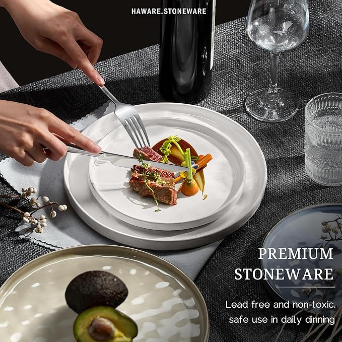 HaWare Dinnerware Sets, 12-Piece Plates and Bowls Set, Stoneware Dish Set for 4, Ceramic Dinnerware for Home Restaurant, Chip and Scratch Resistant, Microwave and Dishwasher Safe, Multicolor