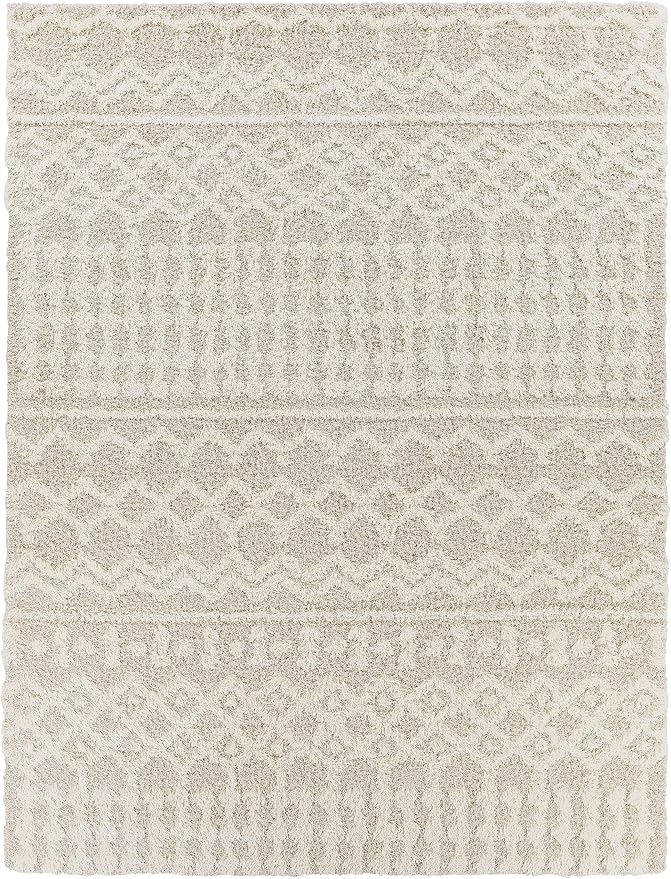 Livabliss Hapsburg Moroccan Shag Area Rug, 8'10" x 12', Beige
